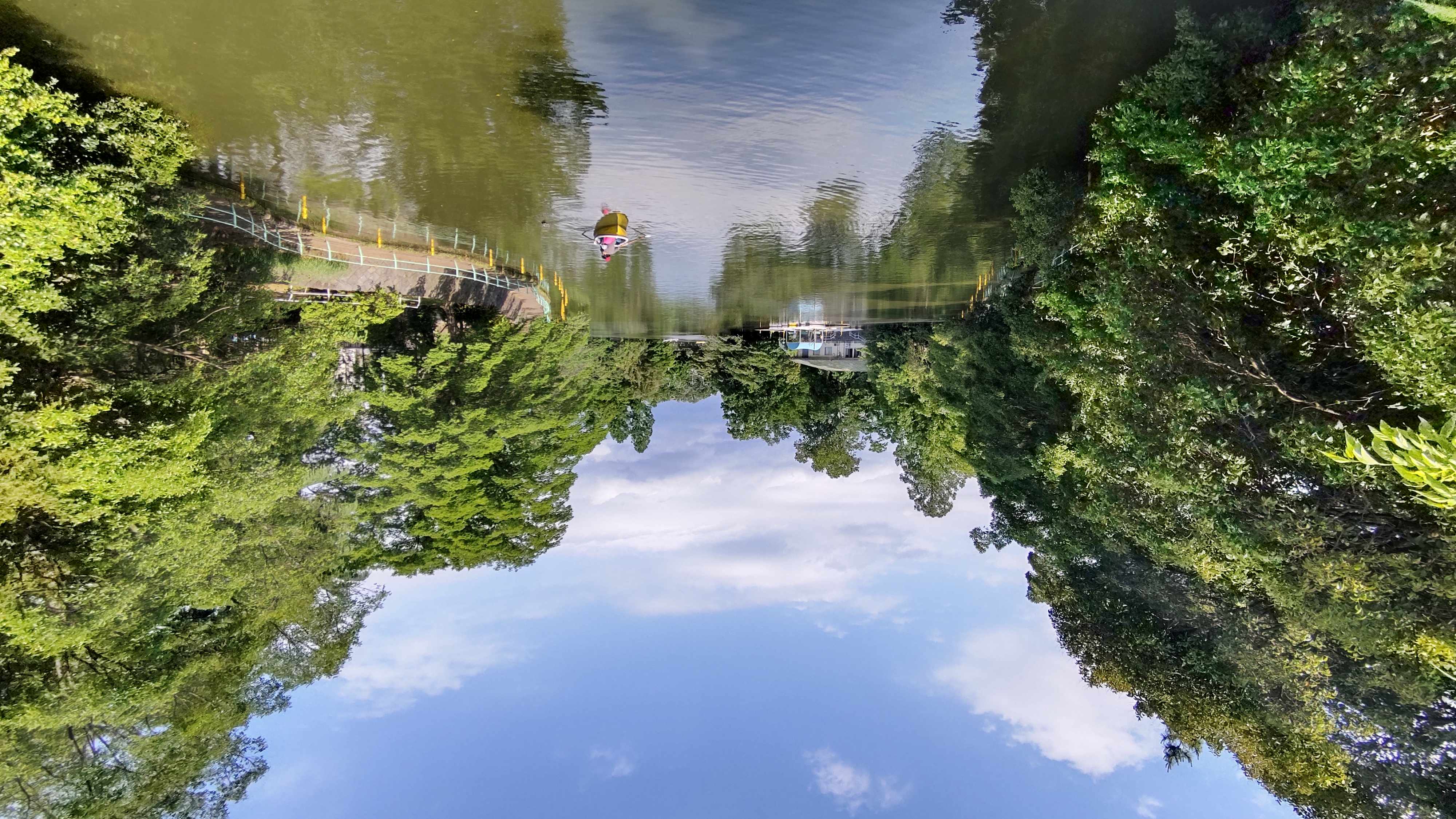 🏞️ 네리마 구립 무사시세키 공원 이미지 8